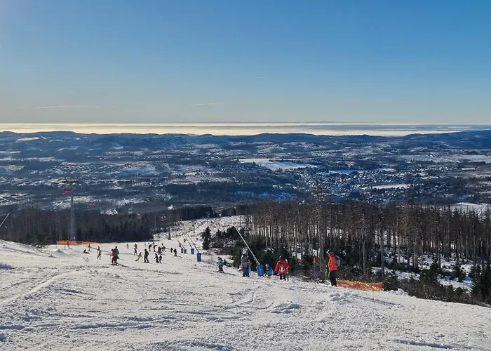 Sauerzapf Mit Saunabereich 16 Personen Braunlage